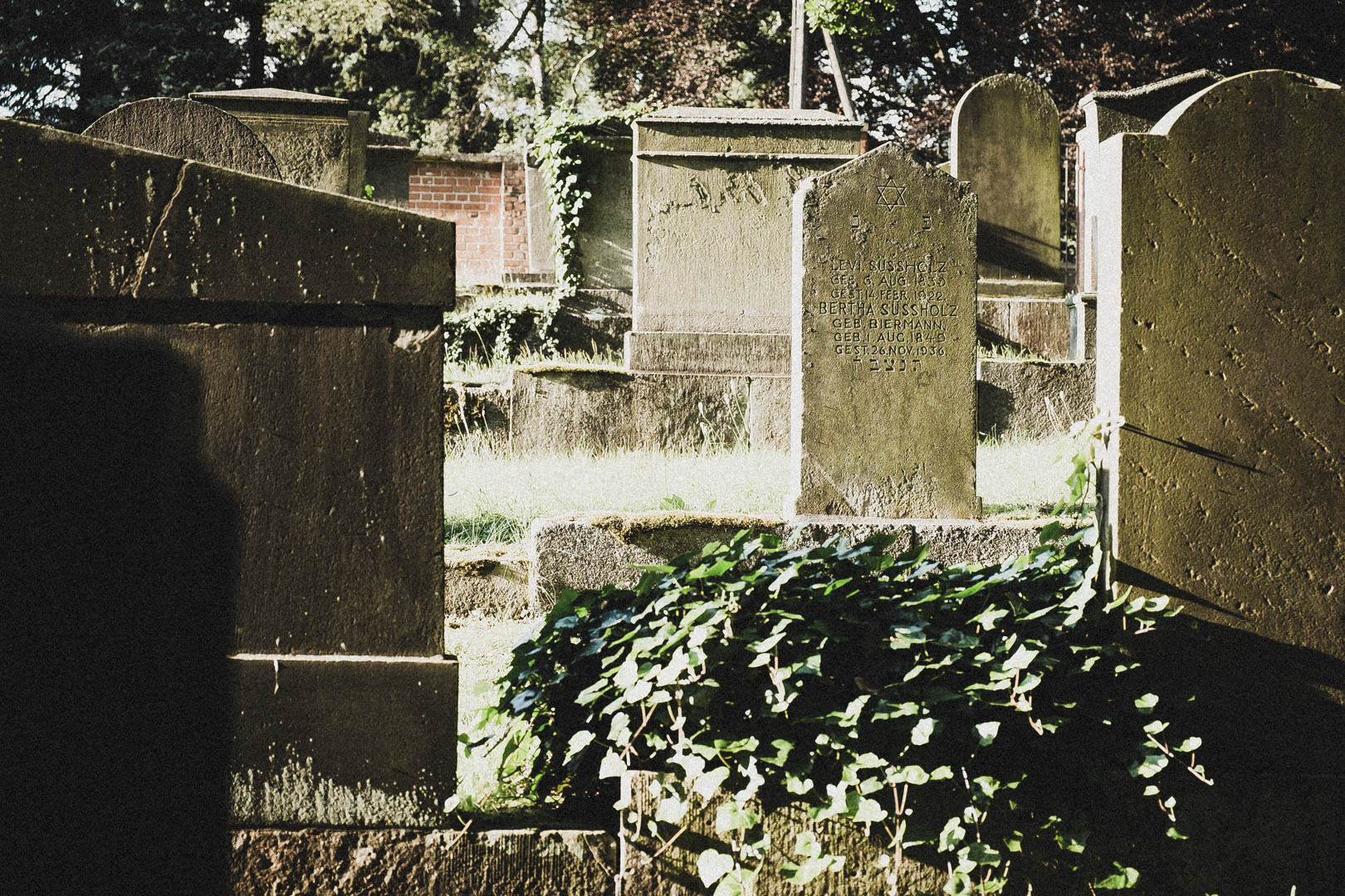 Jüdischer Friedhof Kassel-Bettenhausen